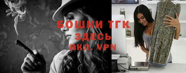 гидра Лихославль
