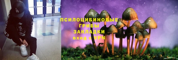 не бодяженный Липки