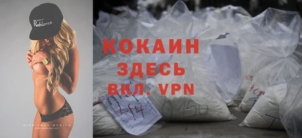 прущие грибы Лабытнанги
