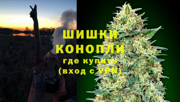 гидра Лихославль