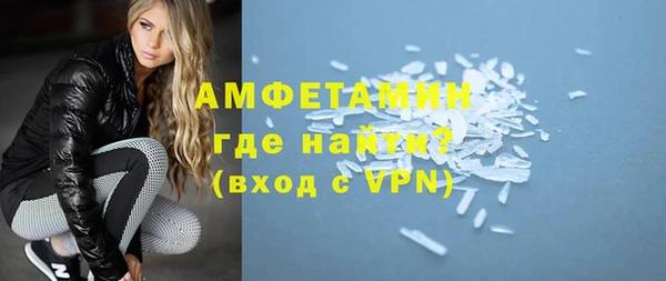 прущие грибы Лабытнанги