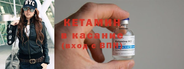 прущие грибы Лабытнанги