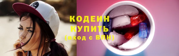 прущие грибы Лабытнанги