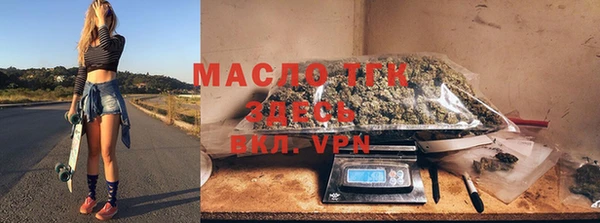 твердый Лагань