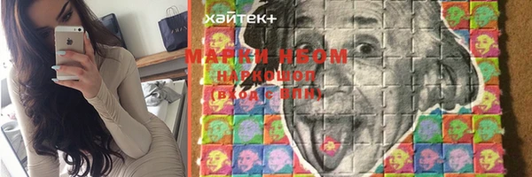 прущие грибы Лабытнанги