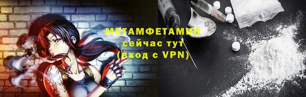 прущие грибы Лабытнанги