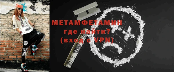 прущие грибы Лабытнанги
