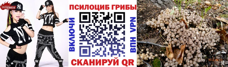 Псилоцибиновые грибы мухоморы  Михайлов 