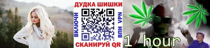 наркота  Михайлов  Каннабис ГИДРОПОН 